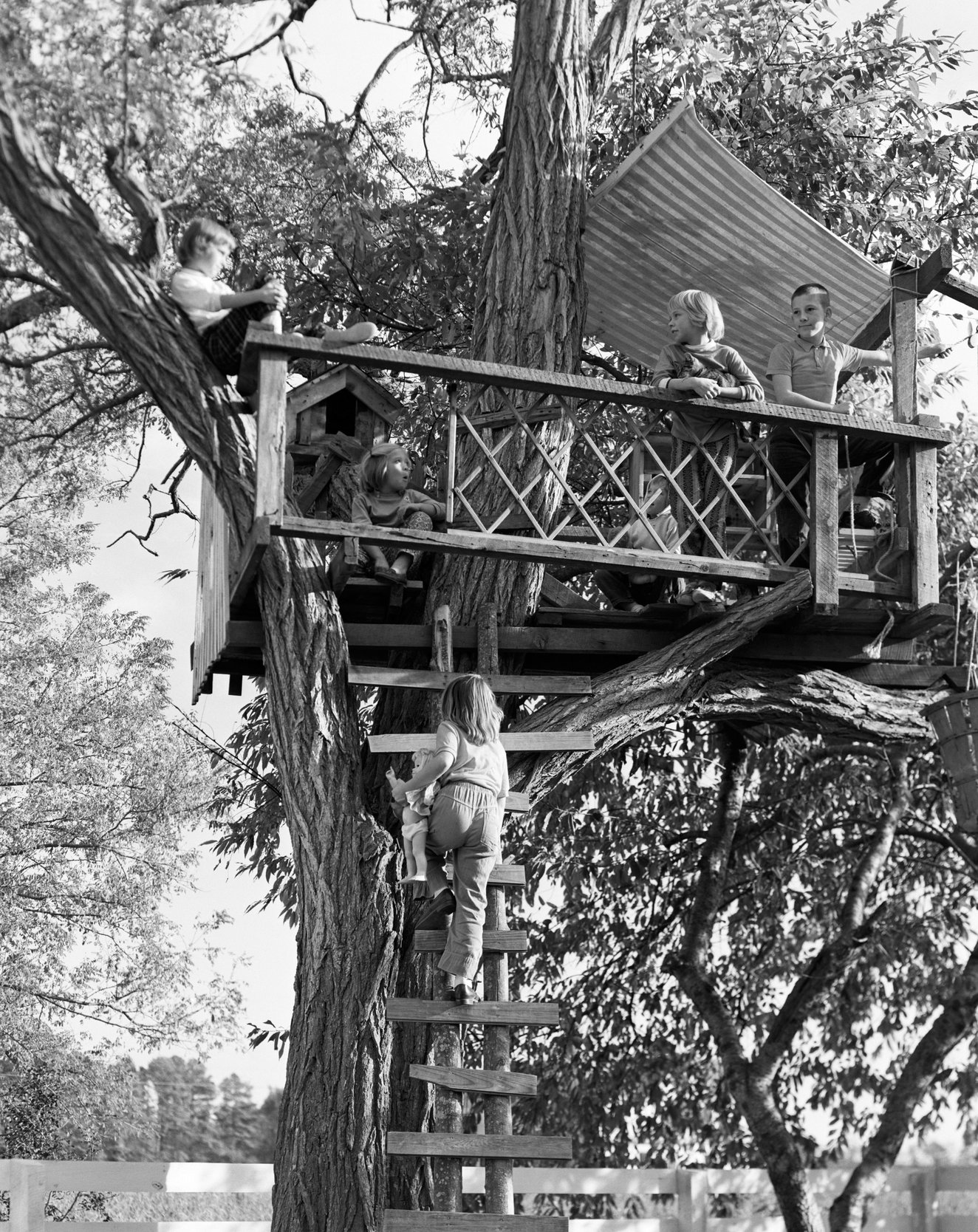 BR9JJ7 1960s KIDS PLAYING IN TREE HOUSE